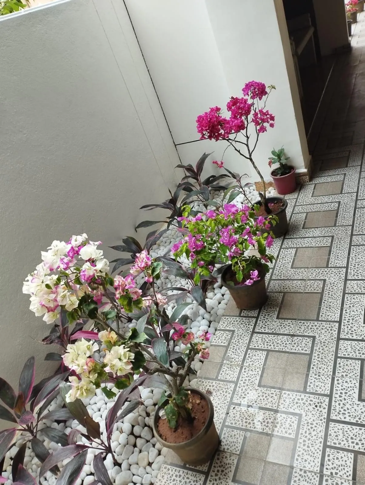 Garden in ANNAI RESIDENCY