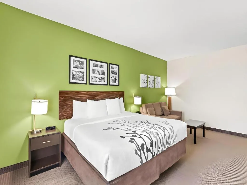 Bed in Sleep Inn & Suites Dripping Springs - Austin Area