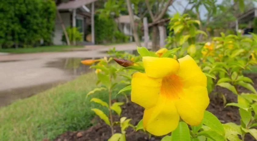 Baan Kula Mahasarakam