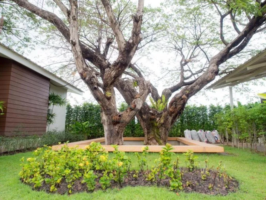 Baan Kula Mahasarakam