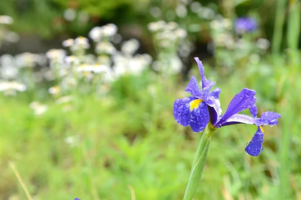 Yufuin Tsukahara Villa ERINA