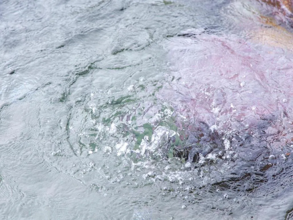 Yufuin Tsukahara Villa ERINA