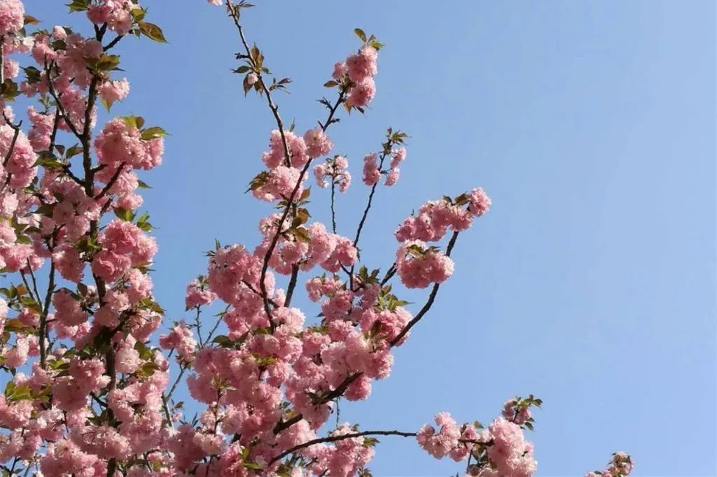 Laibor international hotel