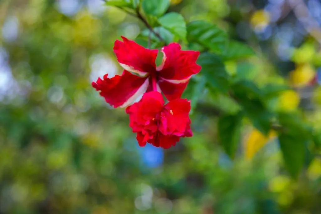 TAWANCHAY HOTEL PHATTHALUNG