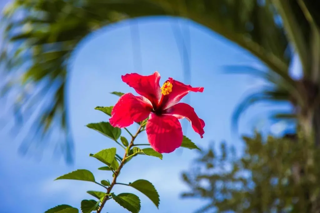 TAWANCHAY HOTEL PHATTHALUNG