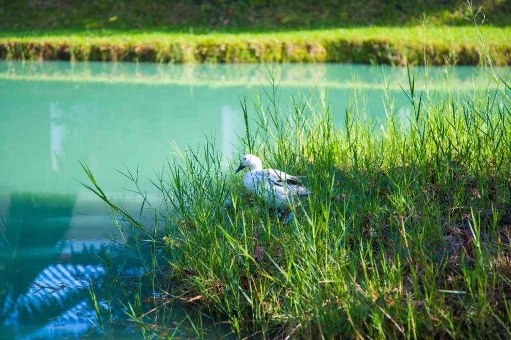 TAWANCHAY HOTEL PHATTHALUNG