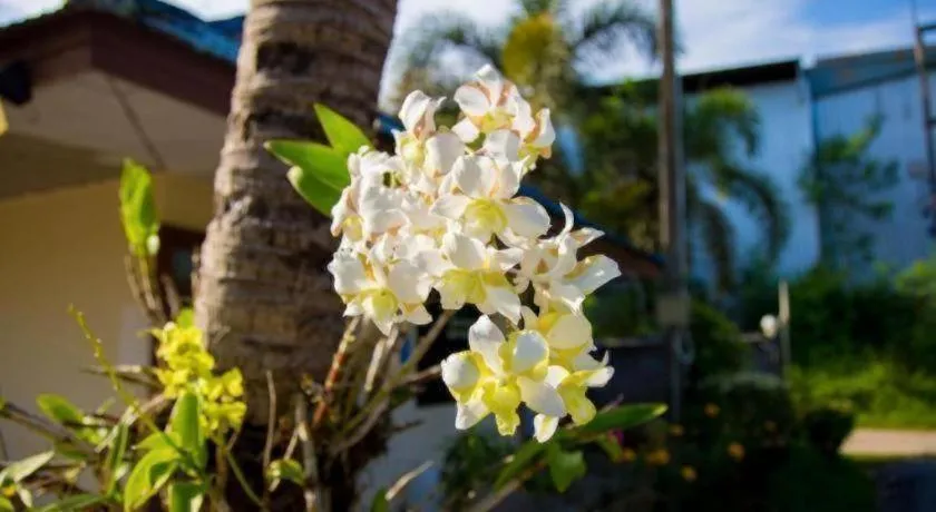 TAWANCHAY HOTEL PHATTHALUNG