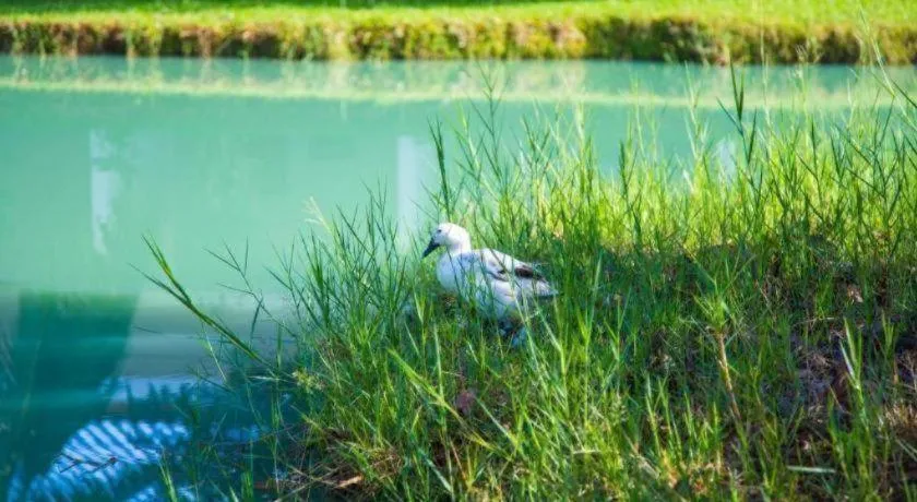 TAWANCHAY HOTEL PHATTHALUNG