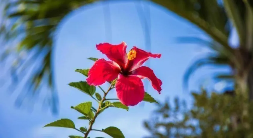 TAWANCHAY HOTEL PHATTHALUNG