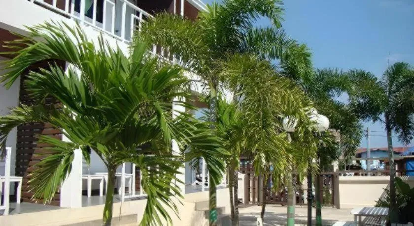 Sea beach Koh Larn 2 Hotel