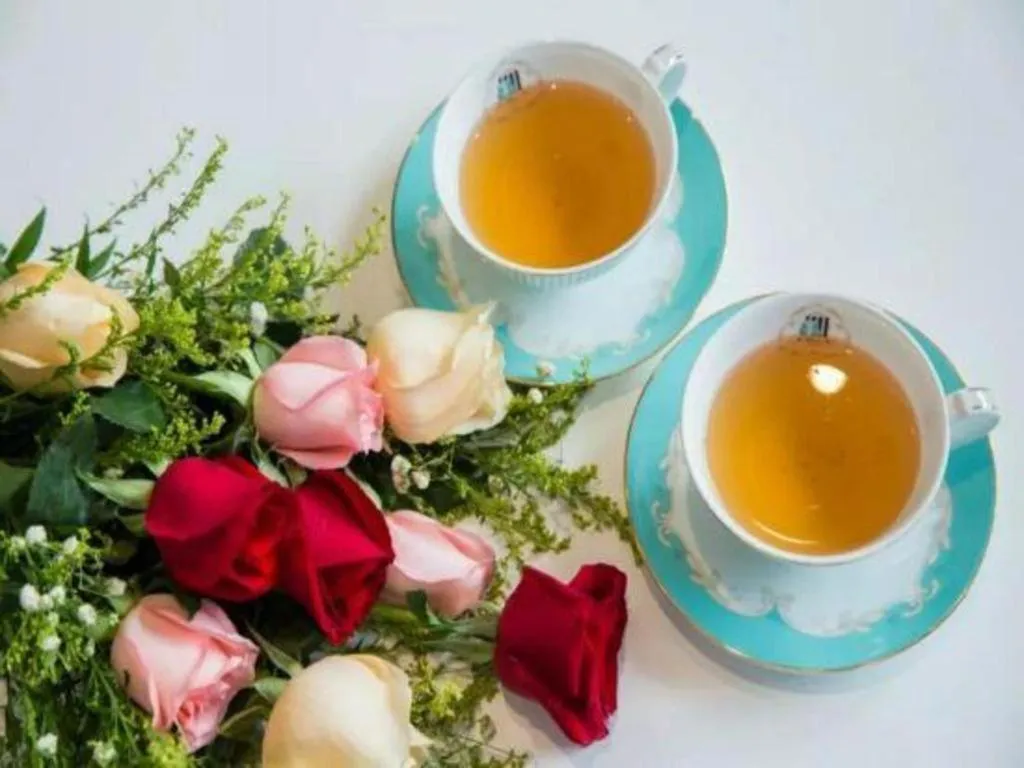 Xana Lite Jiangmen Yingbin West