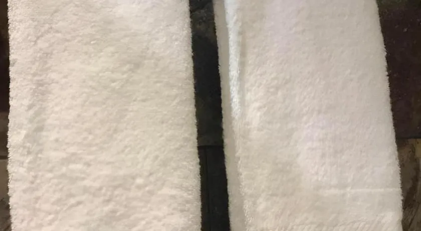 Leisurely Hotel Shenzhen