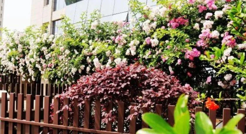 Swisstouches Hotel Ankang