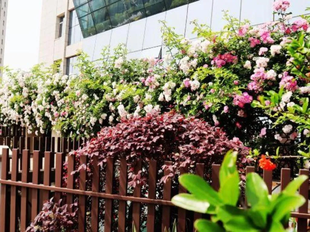 Swisstouches Hotel Ankang