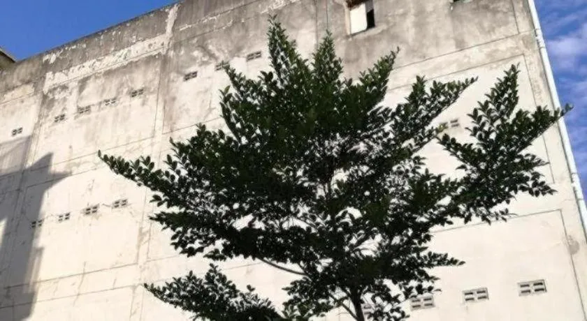 The Nest Krabi Hotel