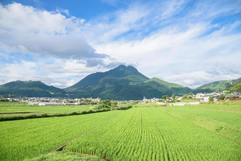 Yufuin Luxury Villa -zakuro-