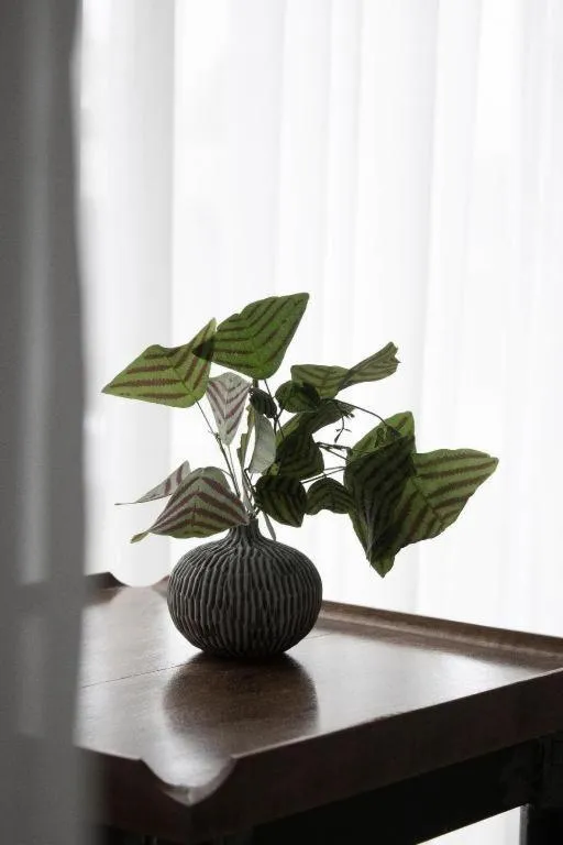 Rangsiya Boutique Hotel