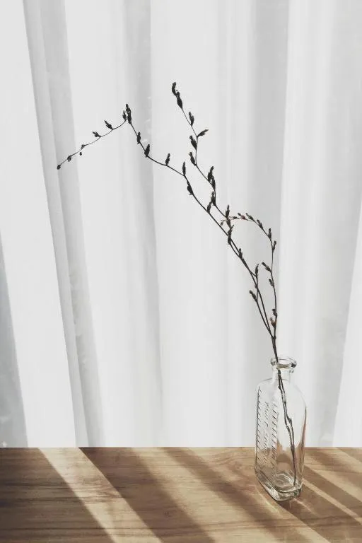 Rangsiya Boutique Hotel