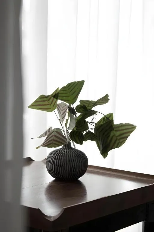 Rangsiya Boutique Hotel