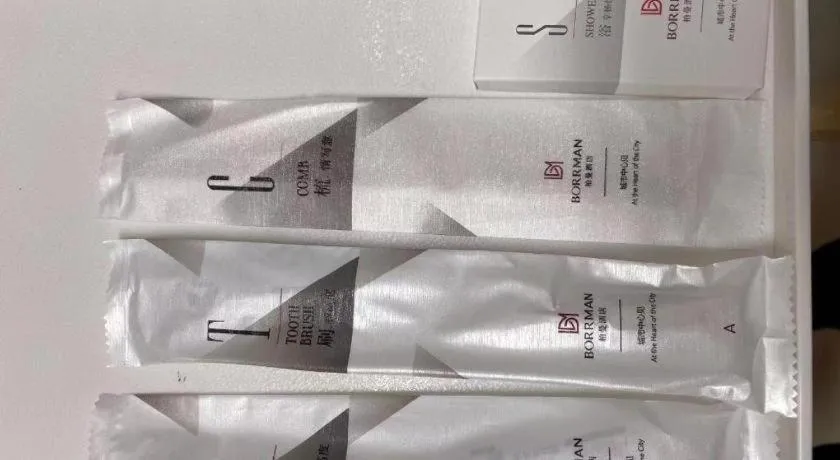 Borrman Hotel Guangzhou Changlong Shiqiao Metro Station