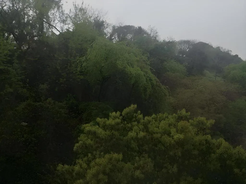 City Comfort Inn Wuhan Pangxiejia Metro Station