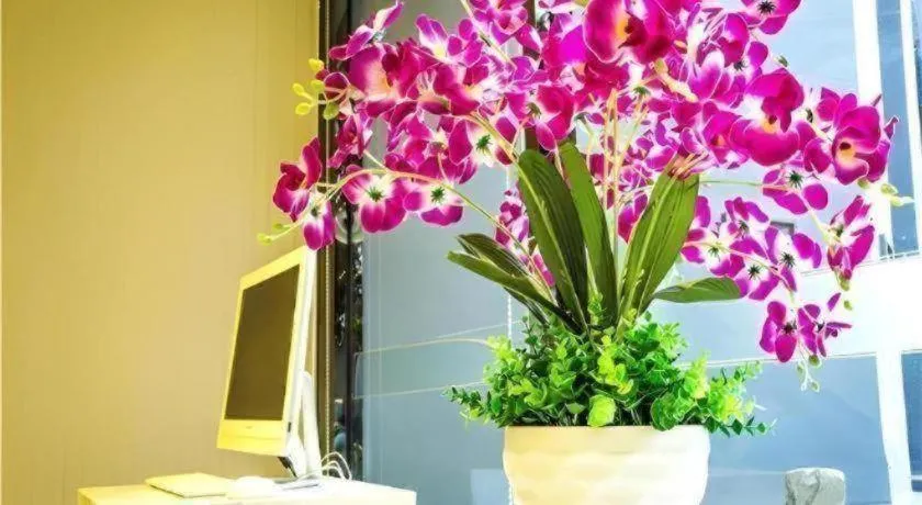 City Comfort Inn Wuzhou Bus Station