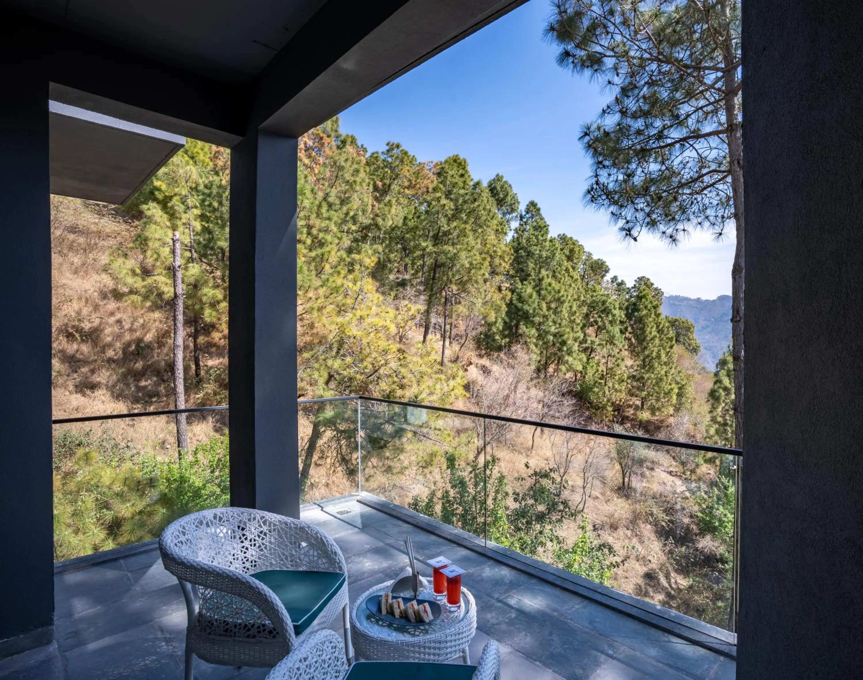 View (from property/room) in Velmore Kasauli Operated by Royal Orchid Hotel Ltd.