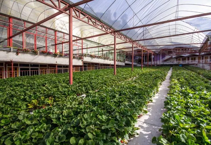 Kea Garden Guest House