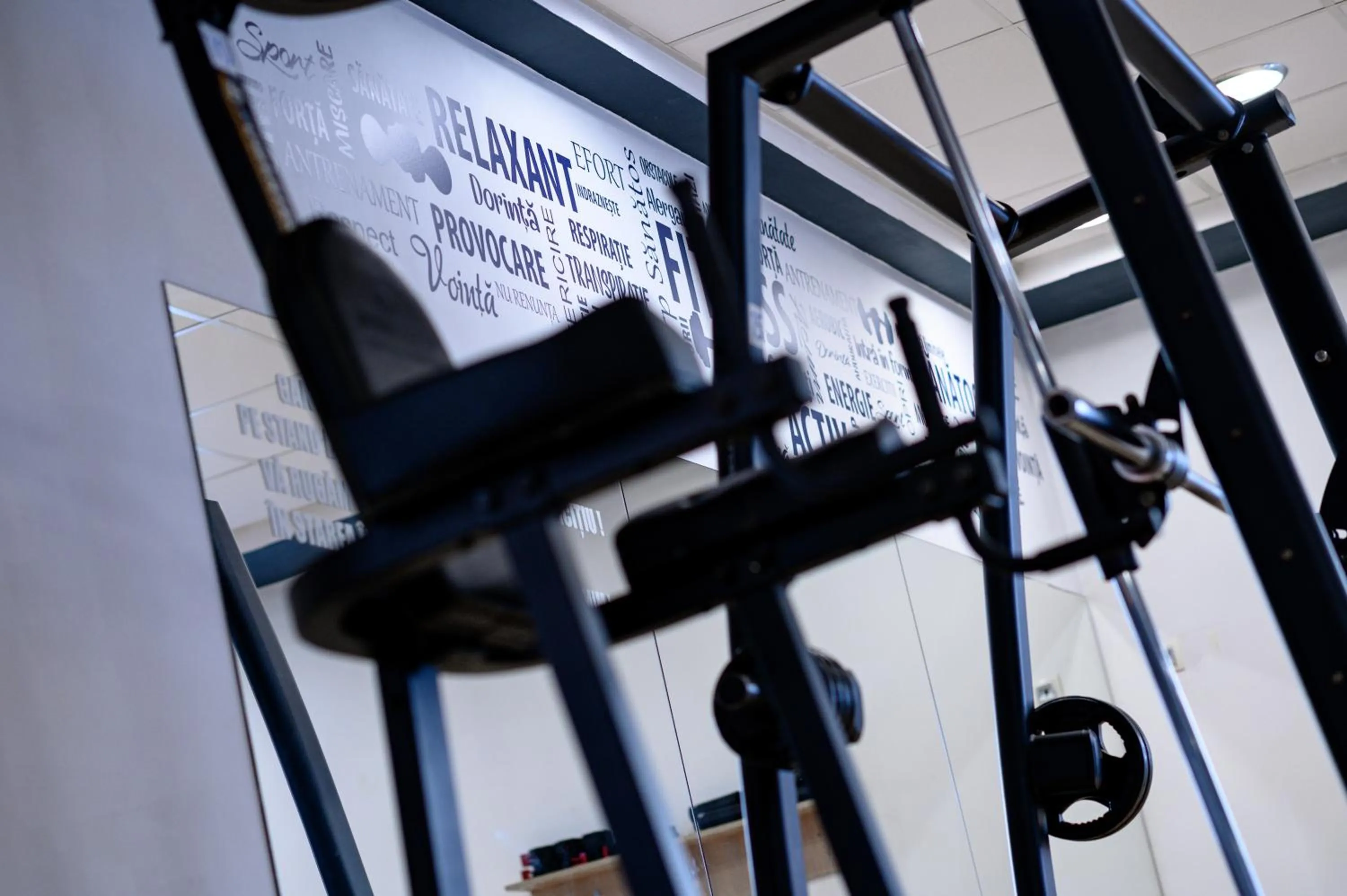 Fitness centre/facilities in Casa EMA Pensiune & SPA