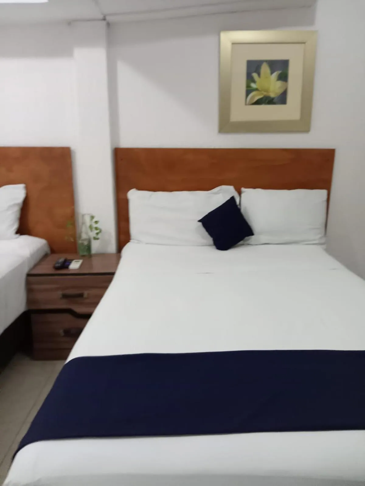 Íkaro Suites Cancún