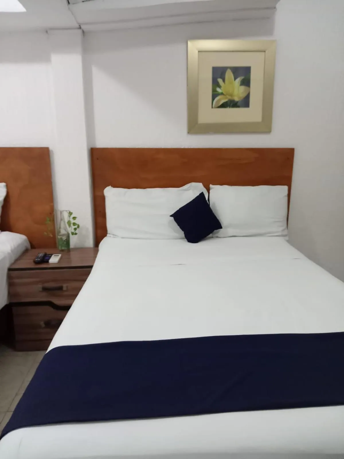 Íkaro Suites Cancún