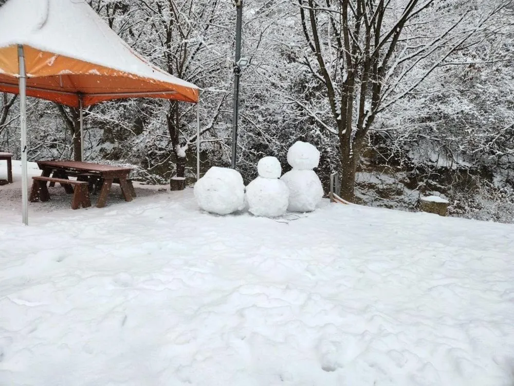 Hwacheon Yeoungwoong-ine Pension