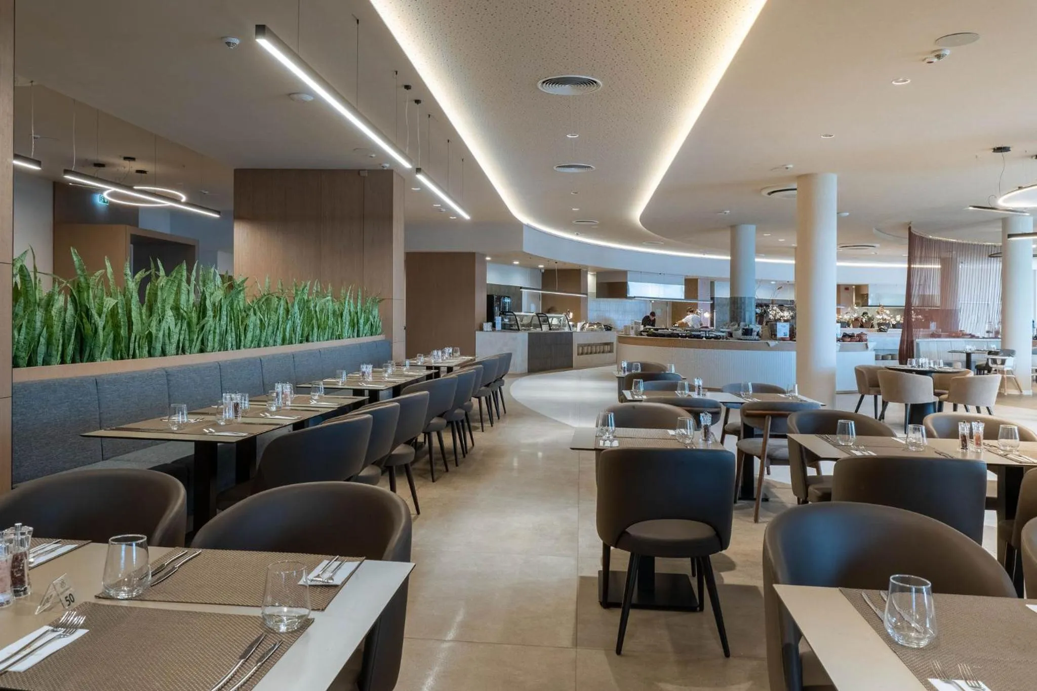 Restaurant/places to eat in GRIFID Noa