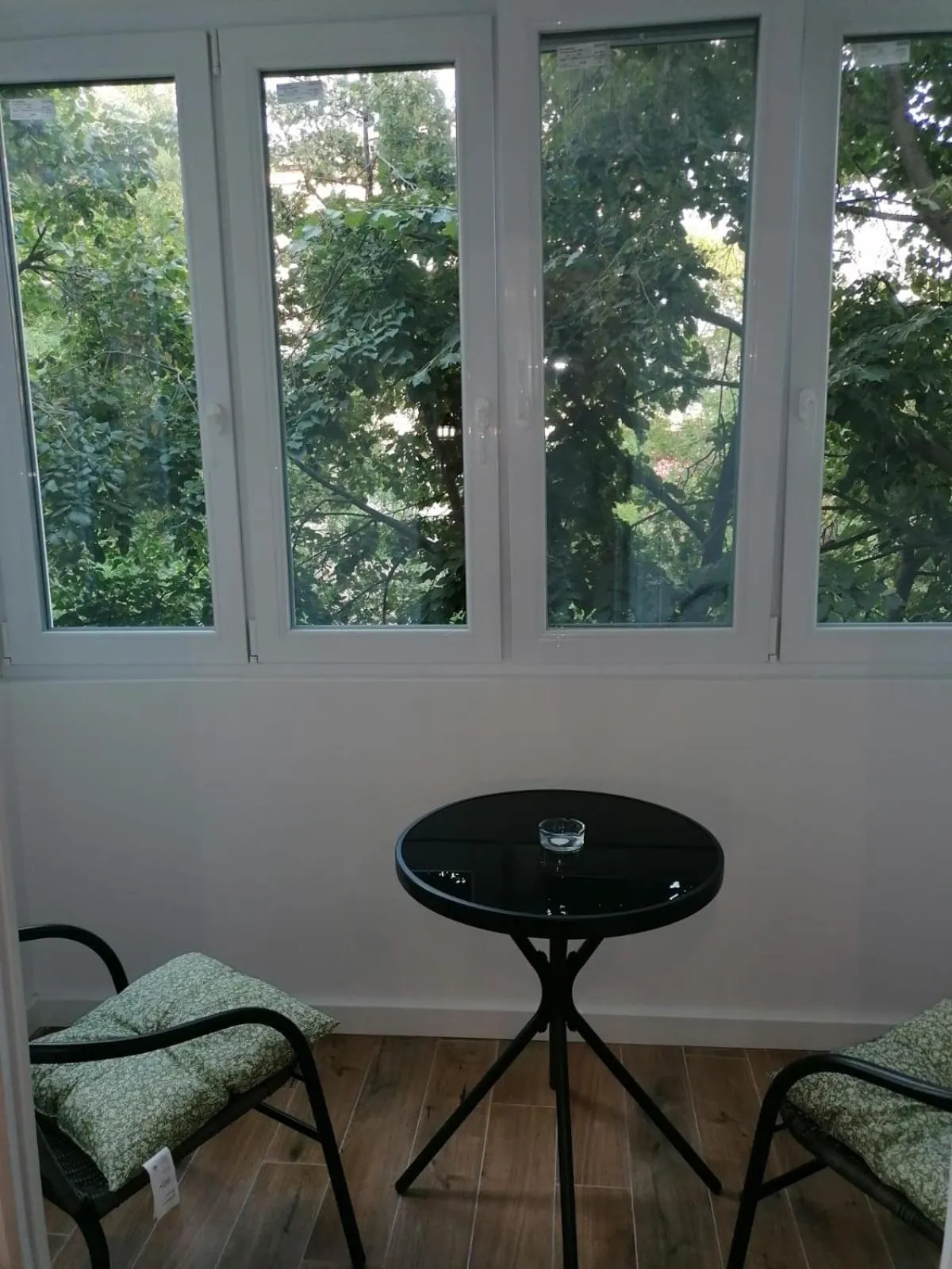 Garden in Apartament Alena Oradea