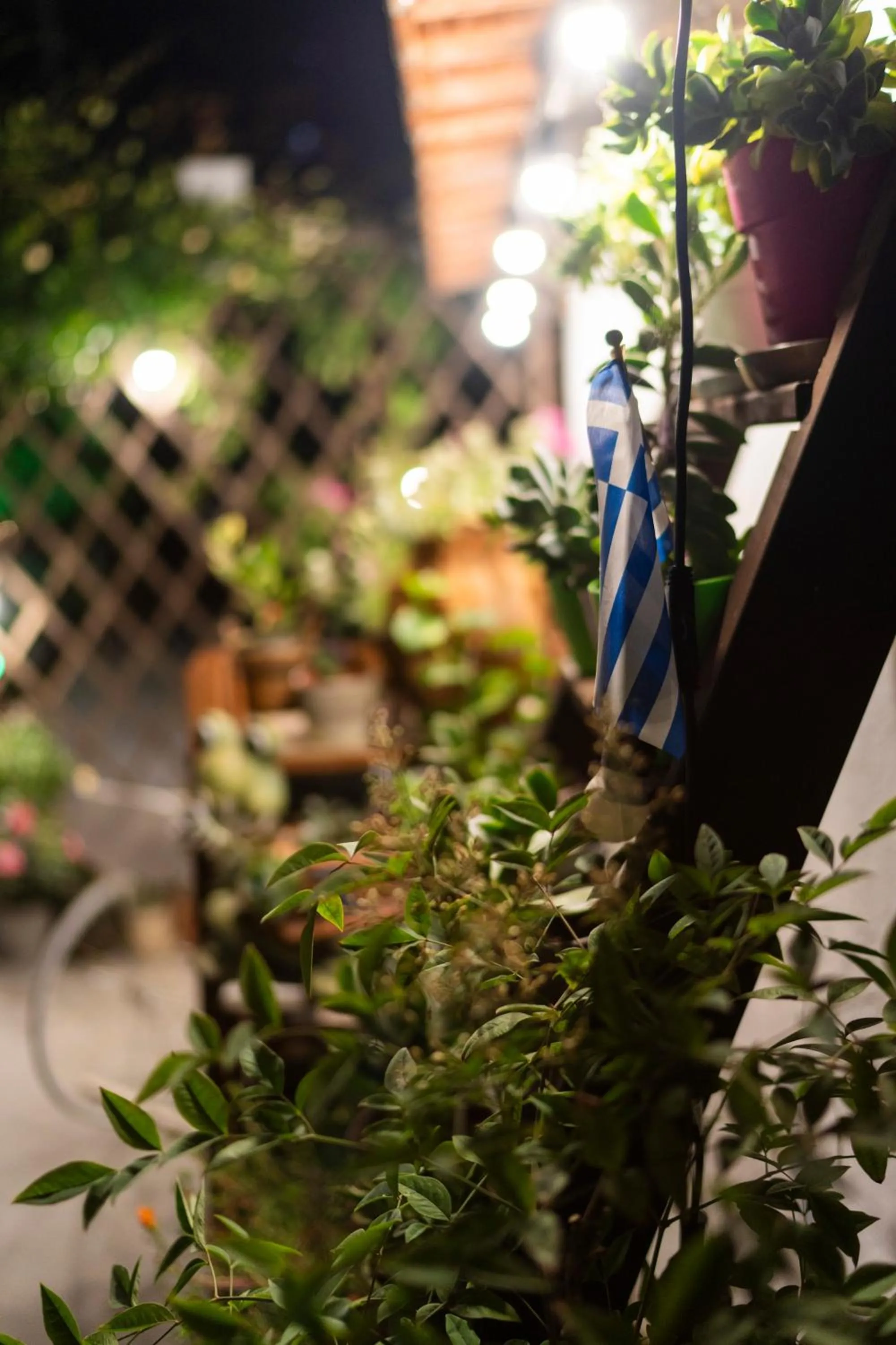 Garden in Epohikon Studios