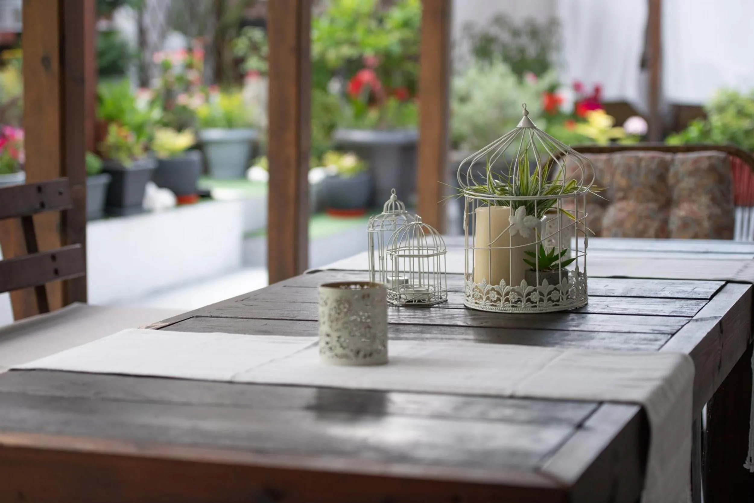 Garden in Epohikon Studios
