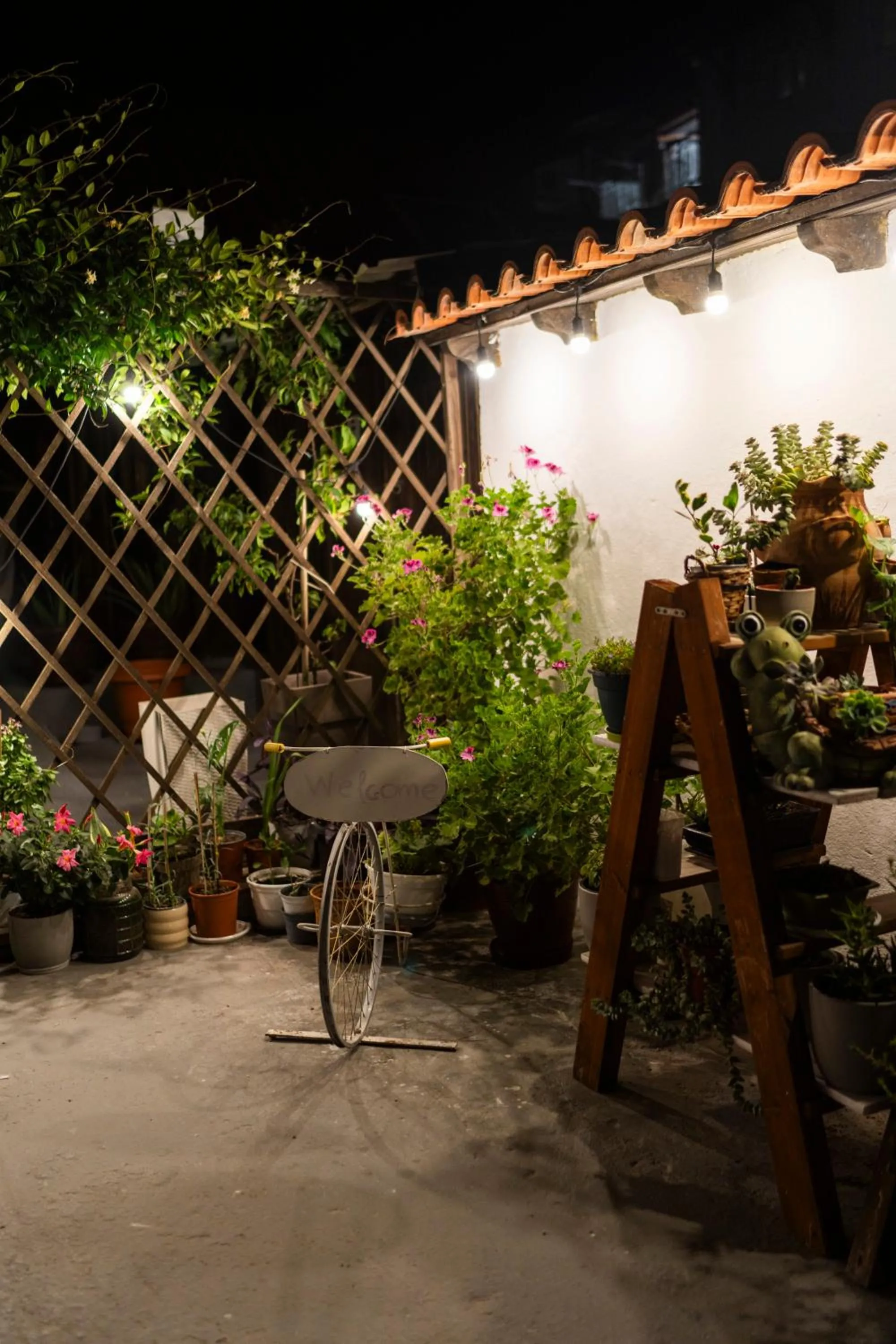 Garden in Epohikon Studios