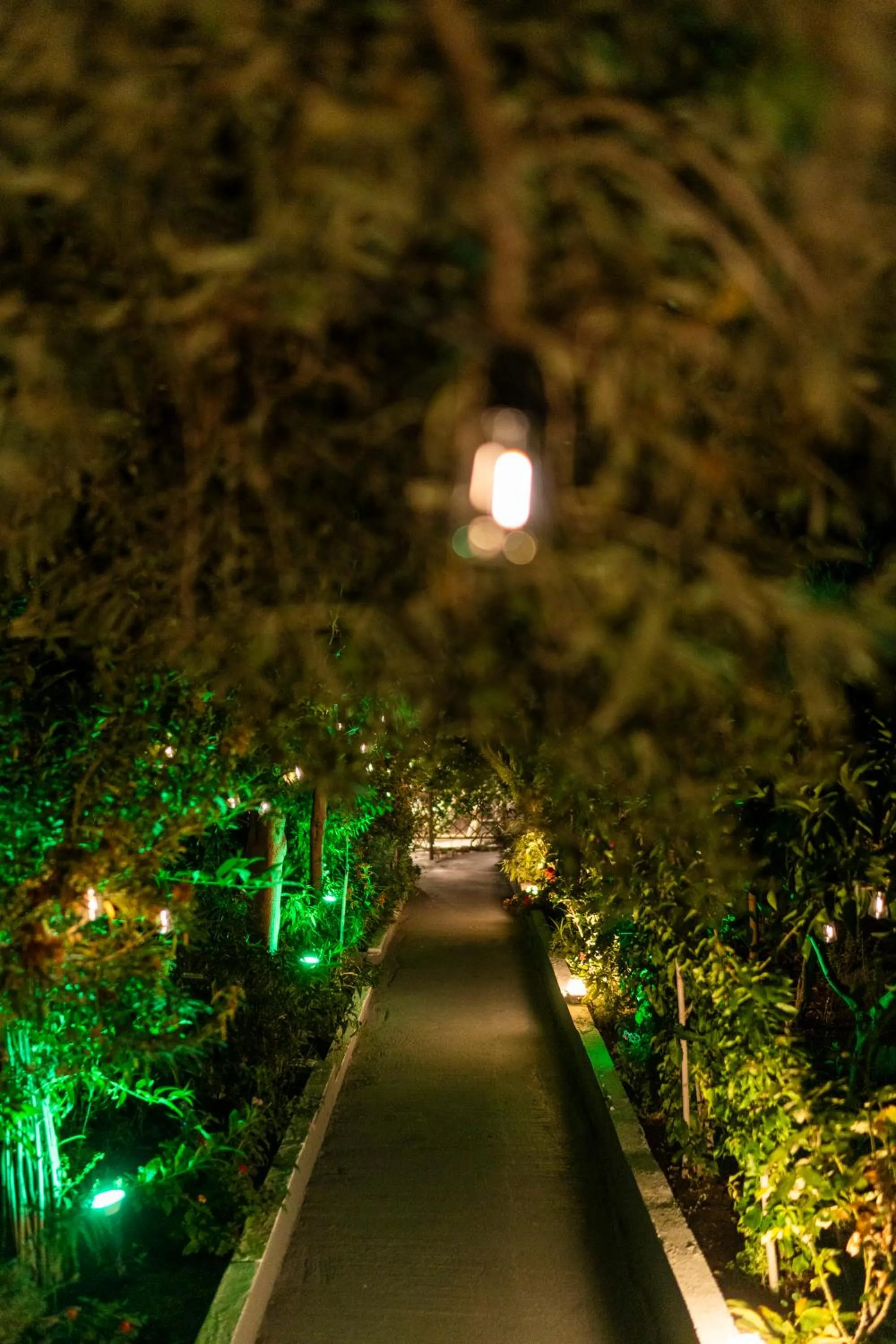 Garden in Epohikon Studios