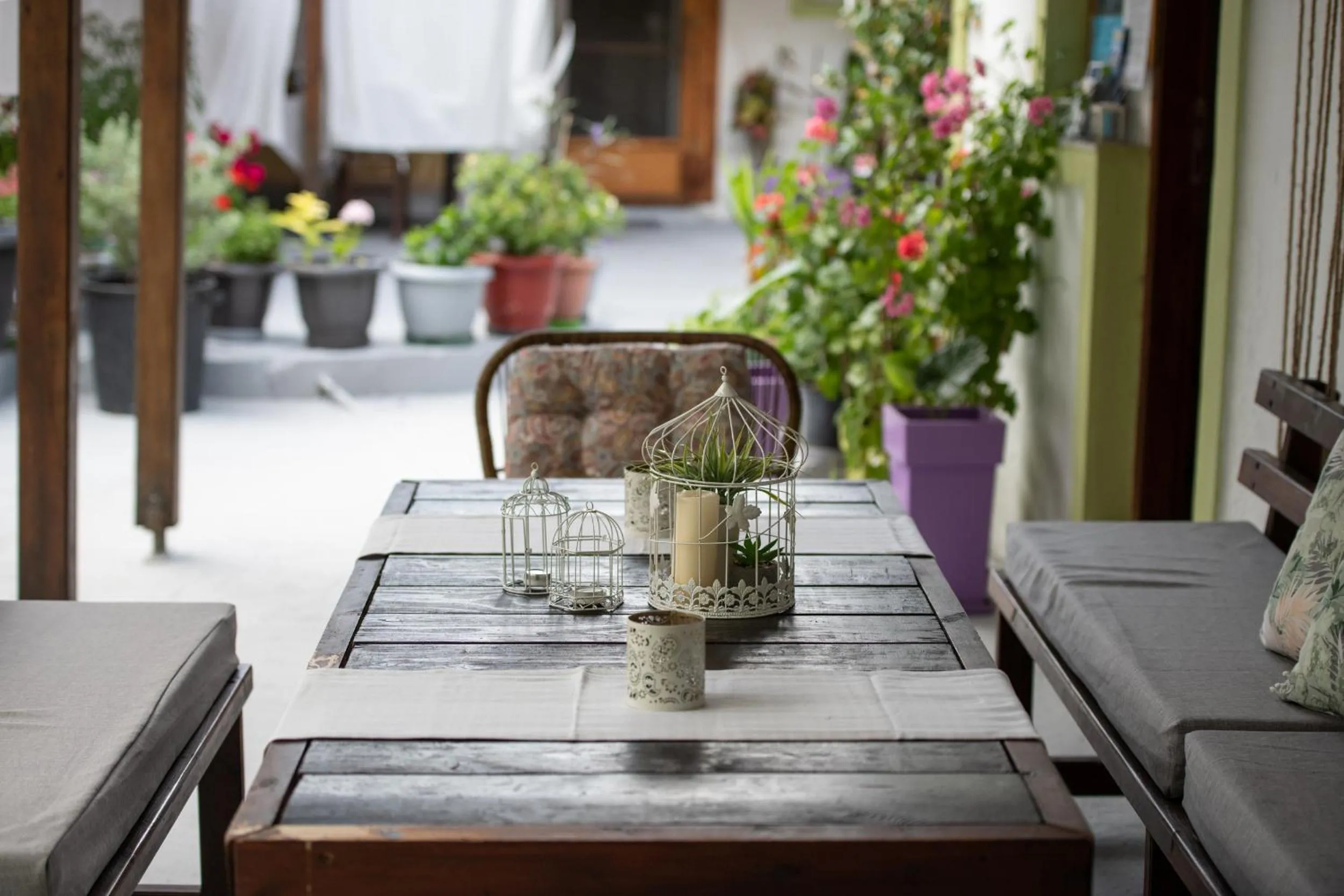 Garden in Epohikon Studios