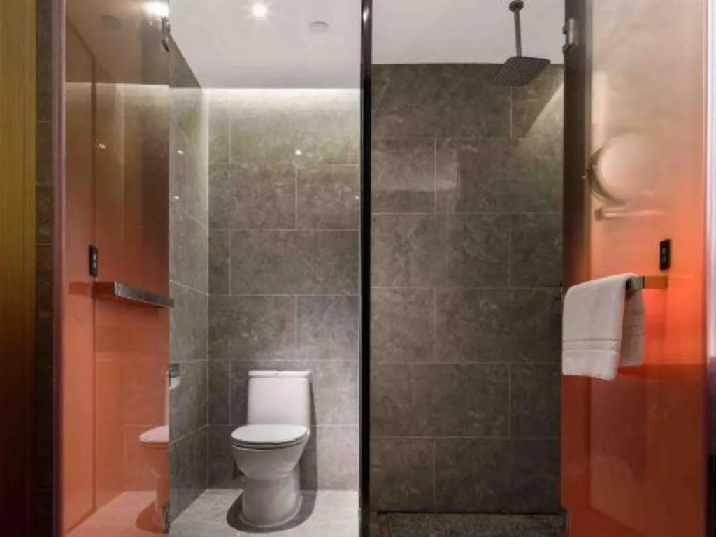 The Hotel V Nanjing Lishui