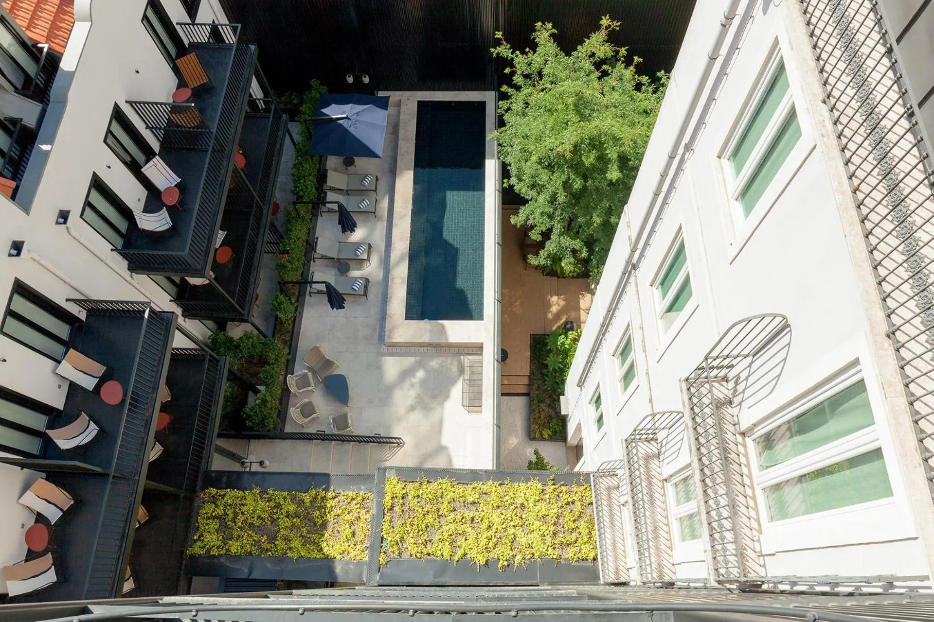 Swimming pool in Valverde Lisboa Hotel & Garden - Relais & Chateaux