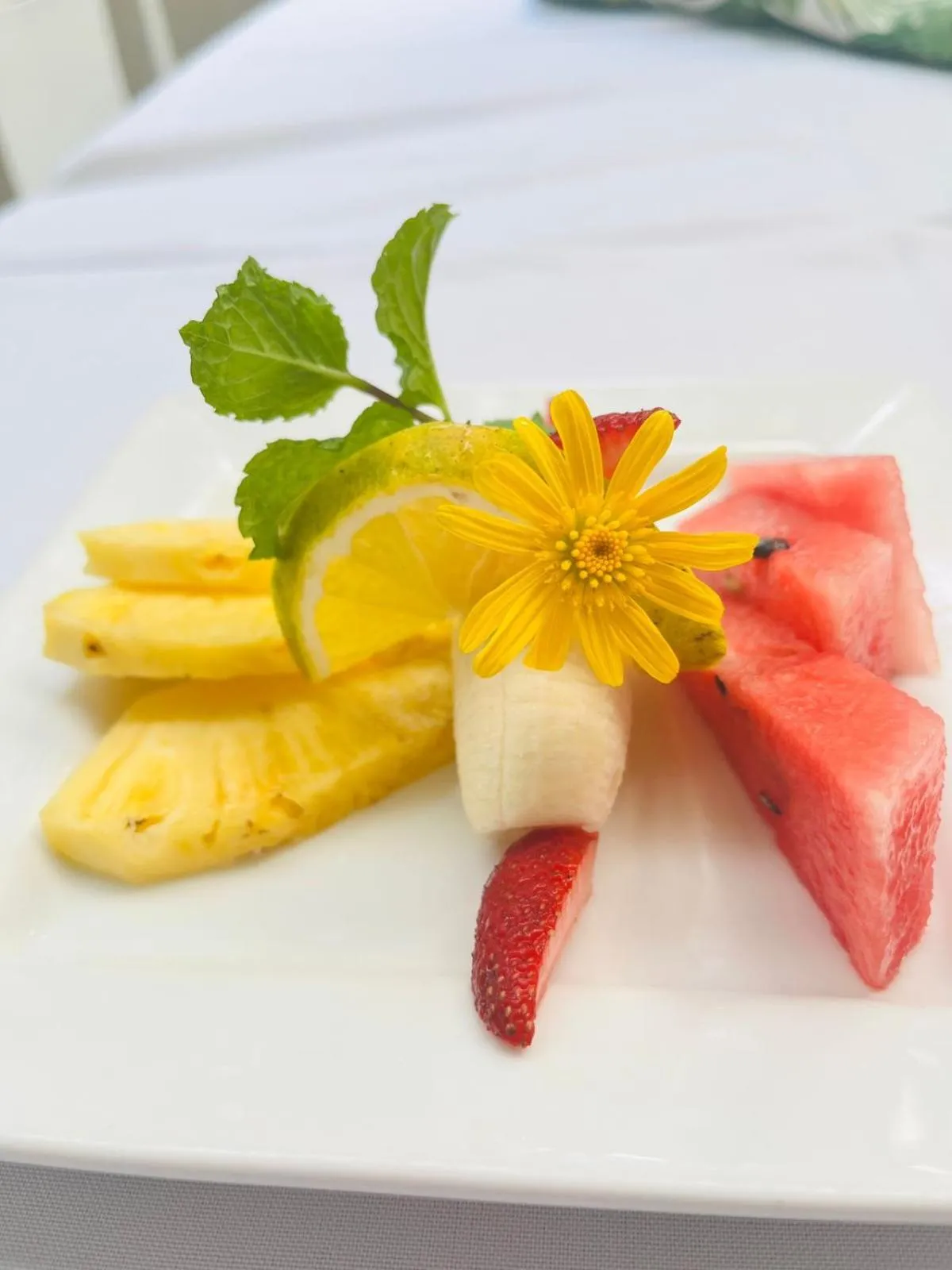 Breakfast in Freddy`s Place B&B