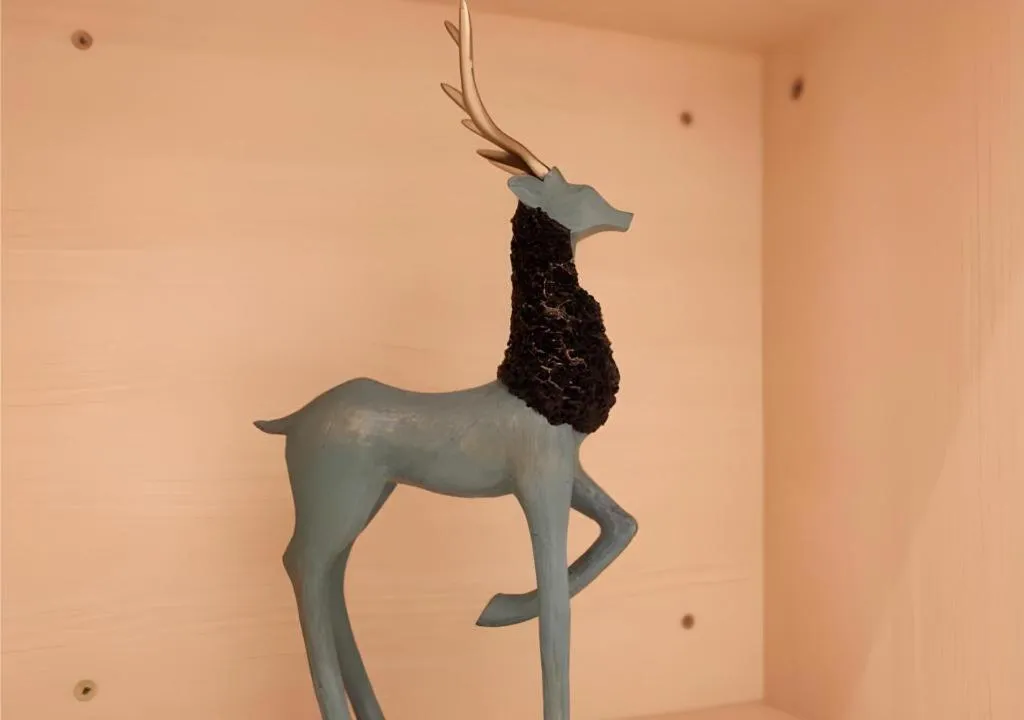 City Comfort Inn Qingyuan City Plaza Hefu Dongcheng