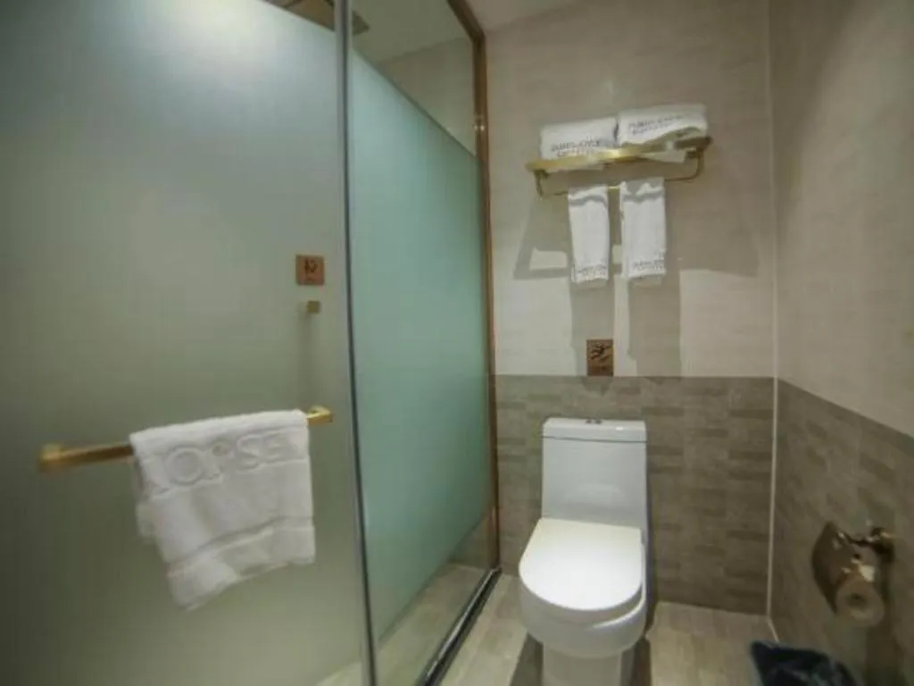 James Joyce Coffetel Lijiang Ancient City Dashuiche