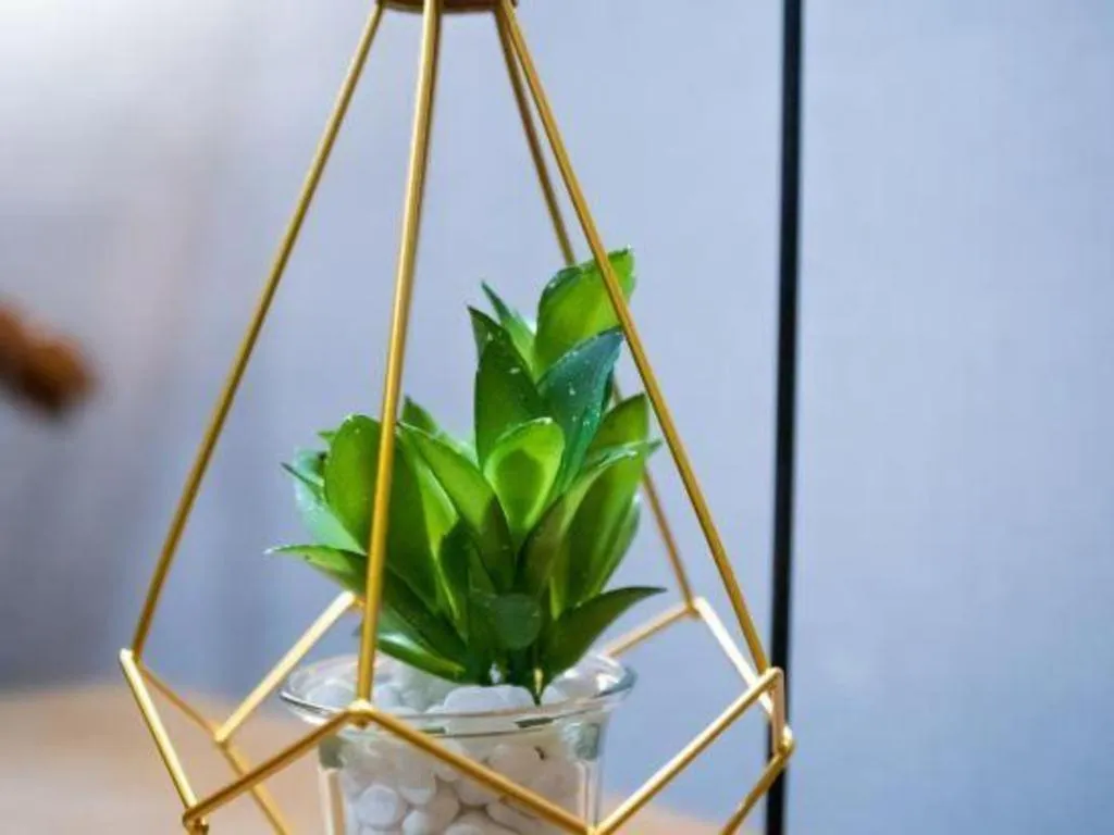 GreenTree Eastern Hotel Suqian Sihong Executive Center