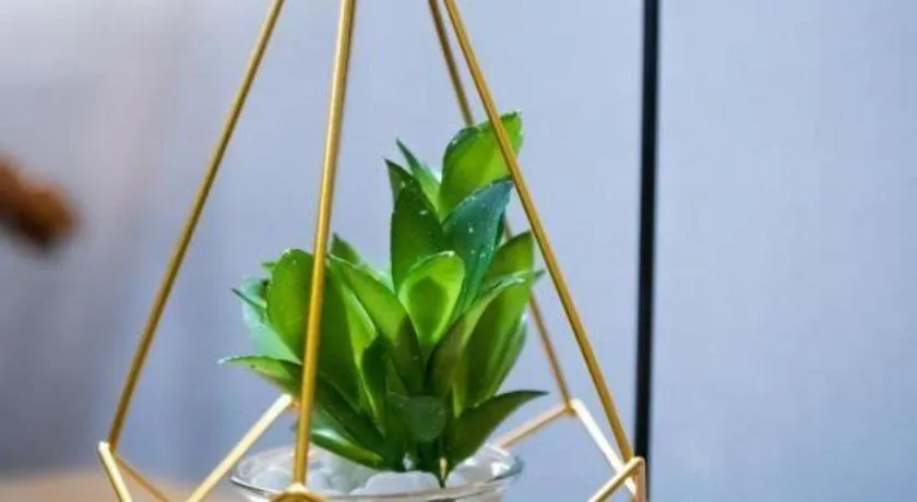 GreenTree Eastern Hotel Suqian Sihong Executive Center