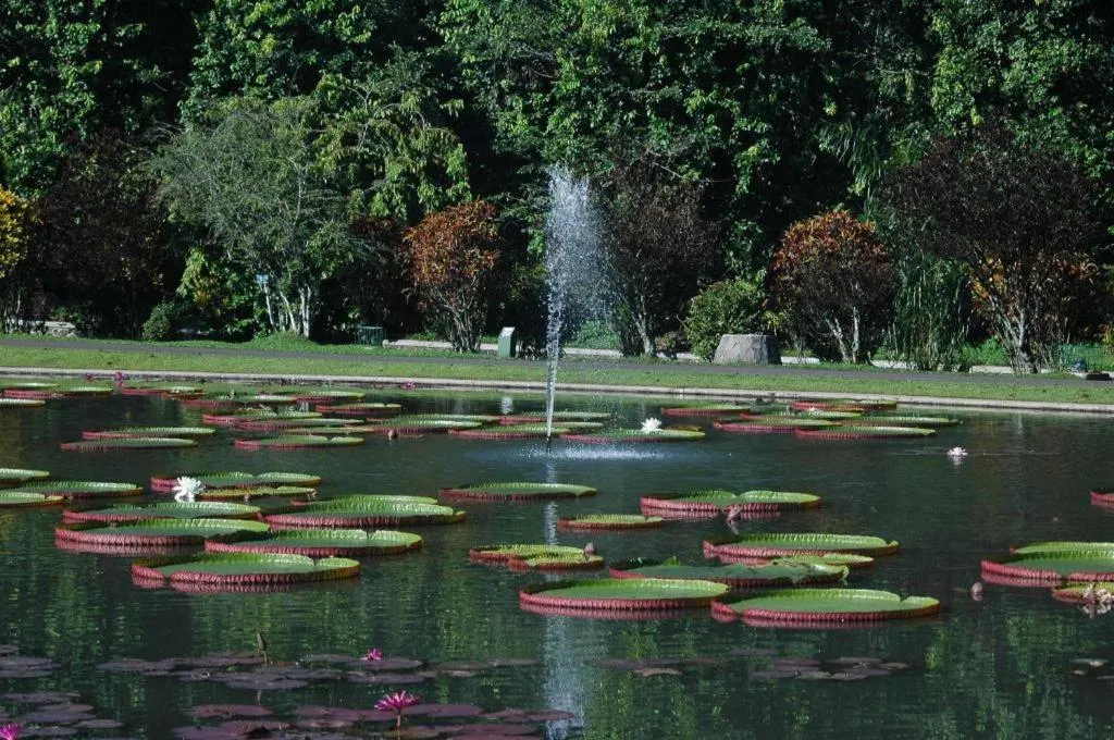 Rizen Padjadjaran Hotel