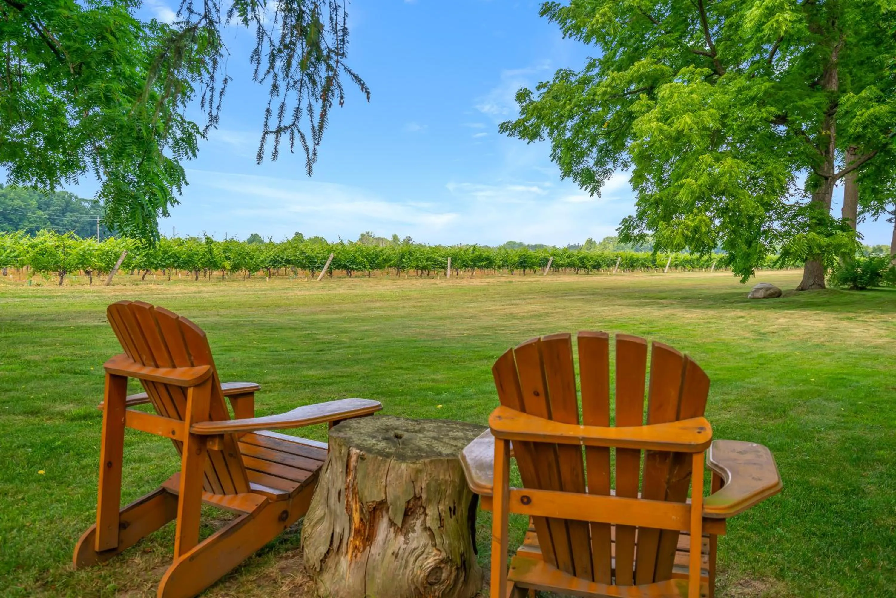 Vineyard Villa