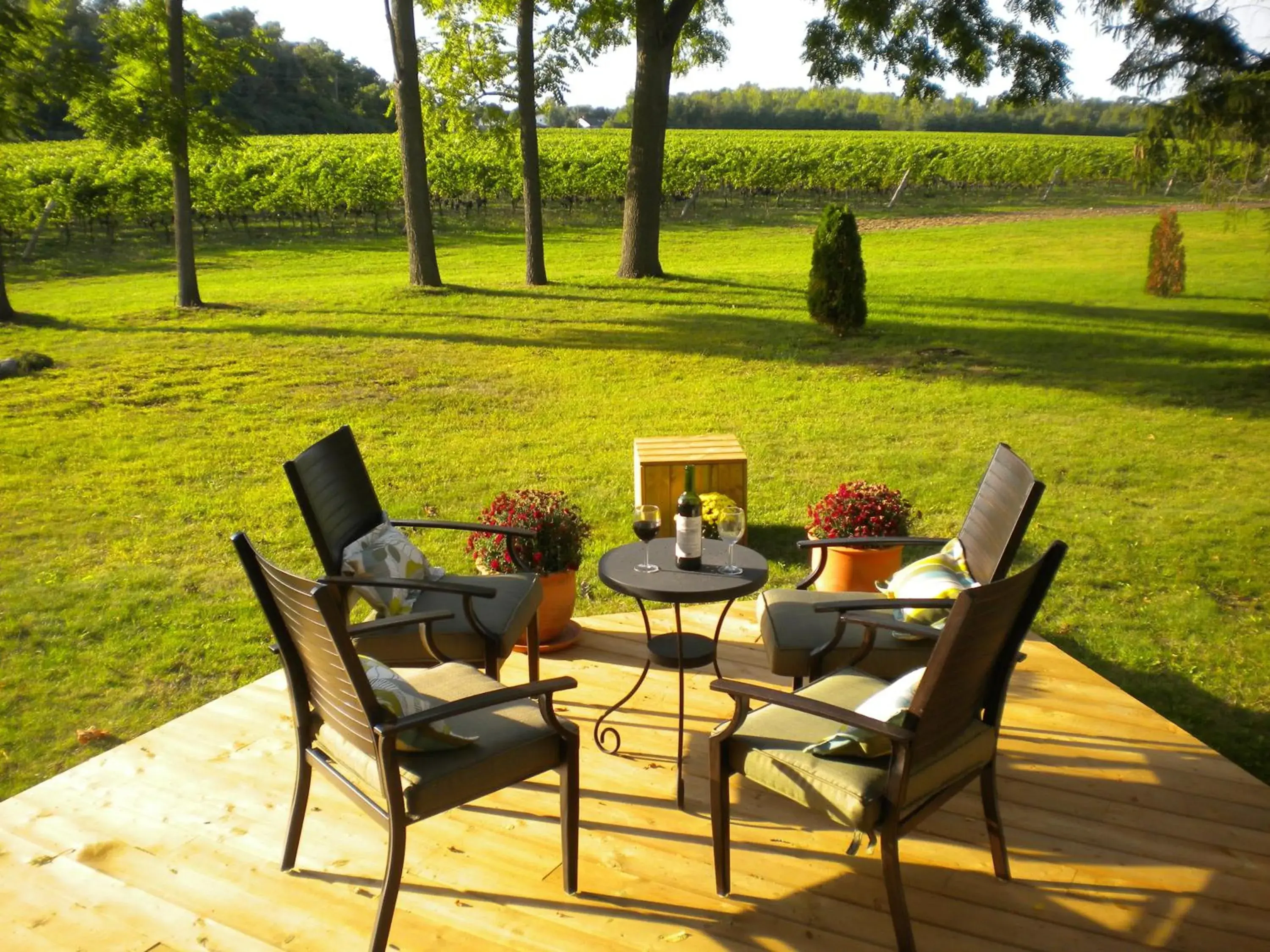 Vineyard Villa Vineyard Villa