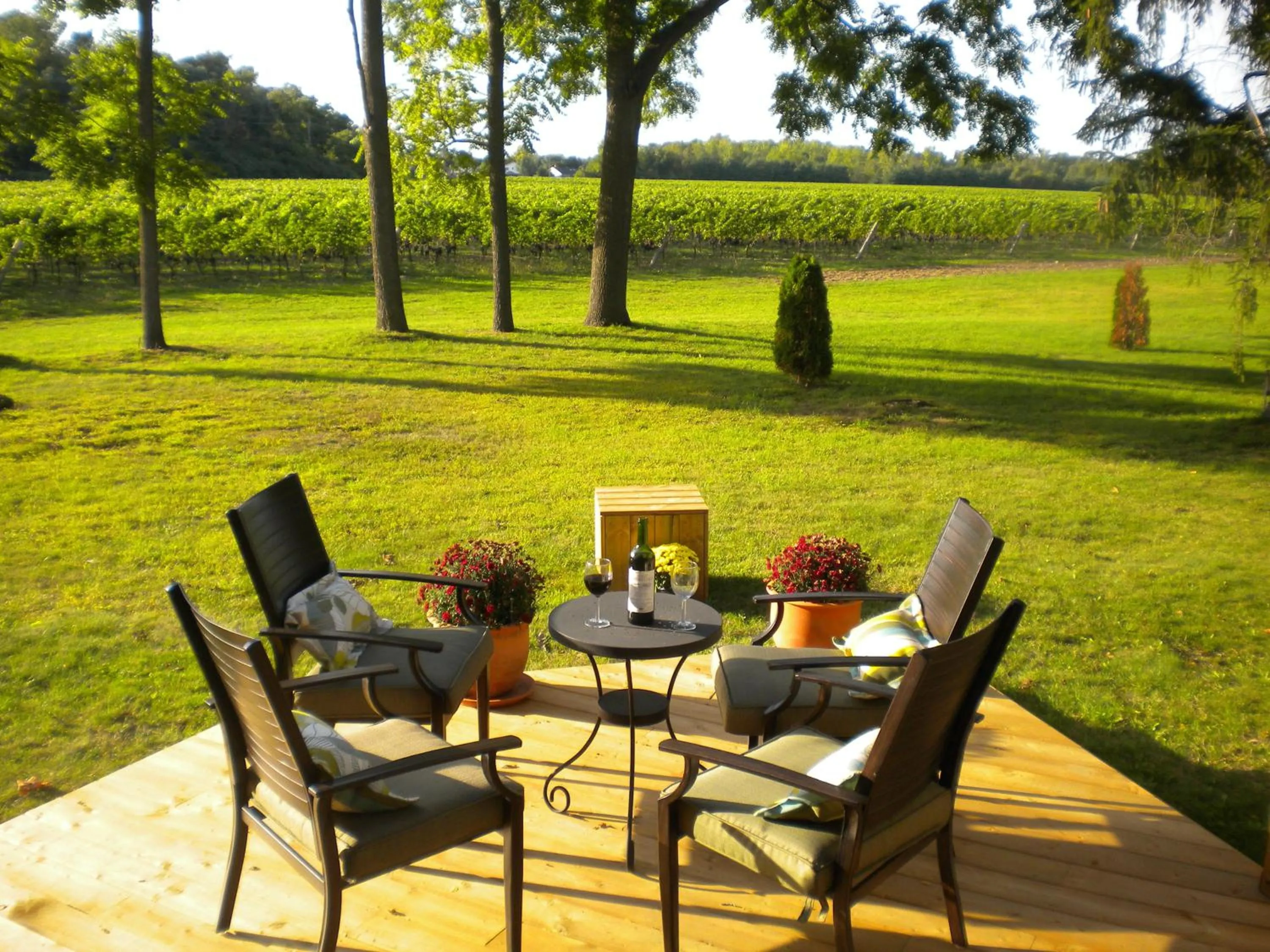 View (from property/room) in Vineyard Villa